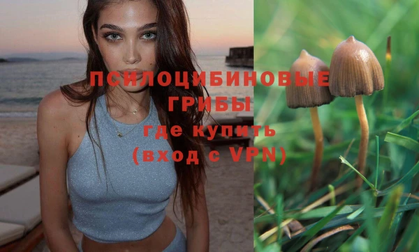 прущие крисы Беломорск